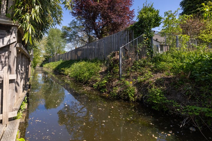 Foto 42 van Schapenweide 12