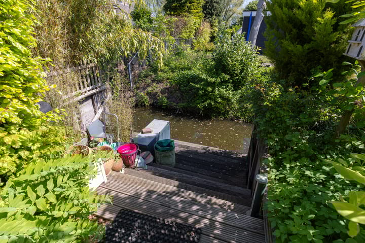 Foto 43 van Schapenweide 12