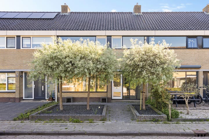 Foto 1 van Cammingastraat 65