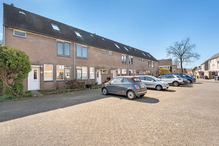 Foto 4 van Piersonware 12