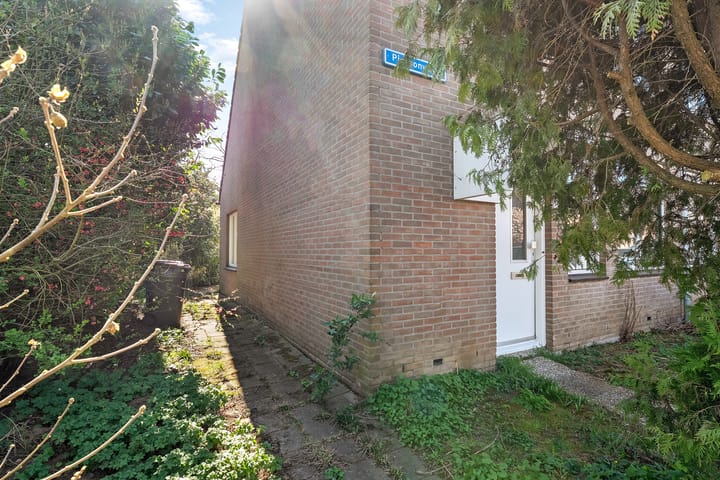 Foto 6 van Piersonware 12