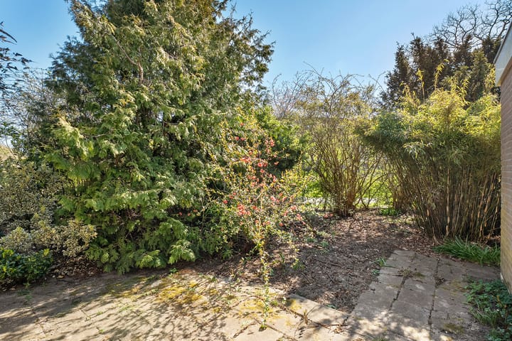 Foto 31 van Piersonware 12