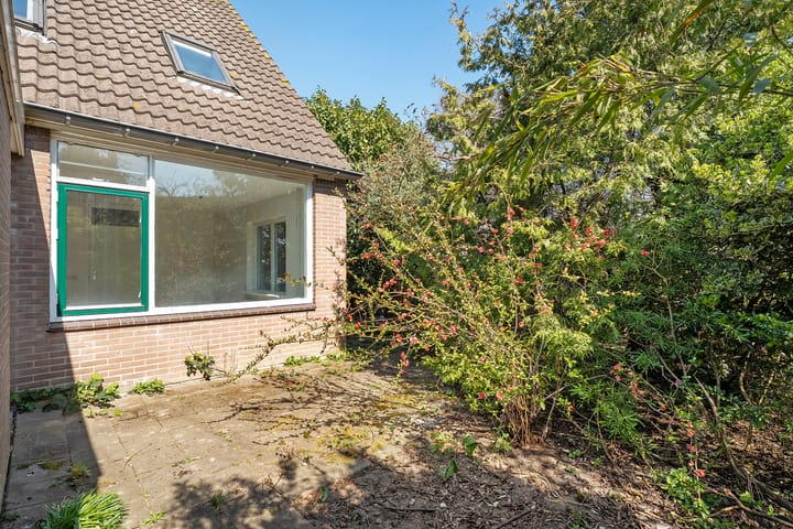 Foto 33 van Piersonware 12