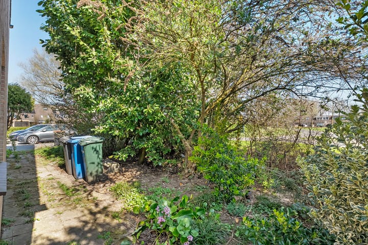 Foto 35 van Piersonware 12