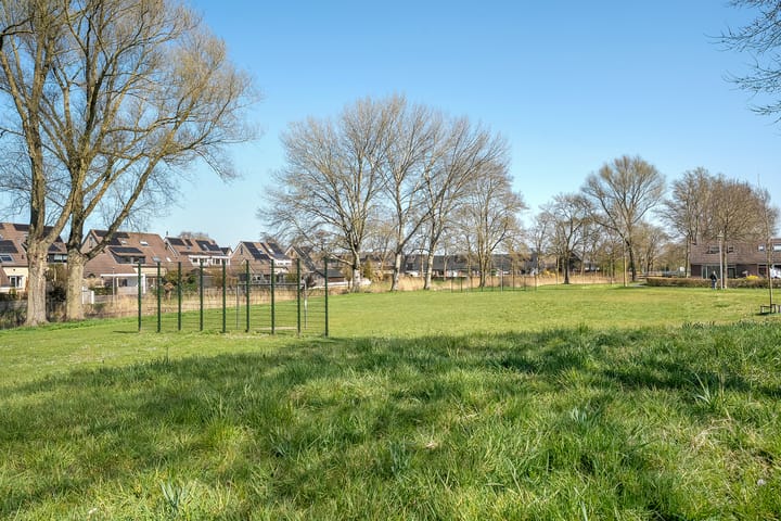 Foto 36 van Piersonware 12