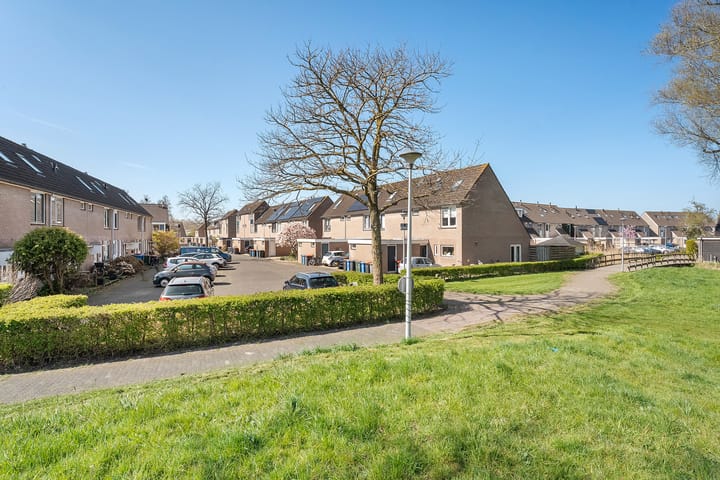 Foto 37 van Piersonware 12