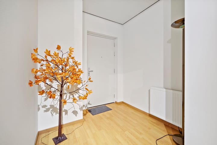 Foto 39 van Nieuwe Parklaan 97-C