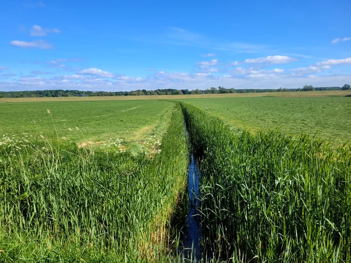 Foto 9 van Achterstraat