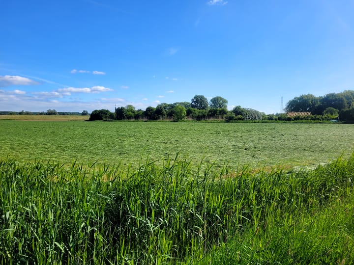 Foto 10 van Achterstraat