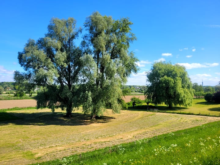 Foto 18 van Achterstraat