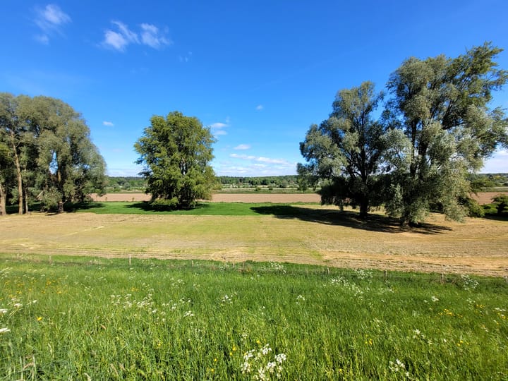 Foto 19 van Achterstraat