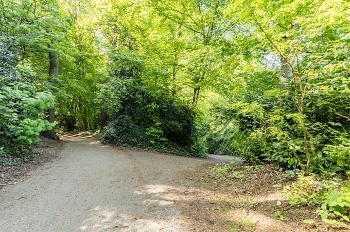 Foto 67 van Bospad 17