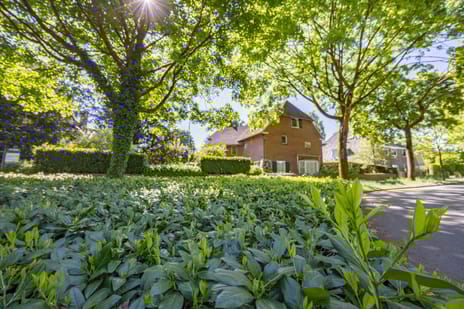 Bredaseweg 384 secondary image