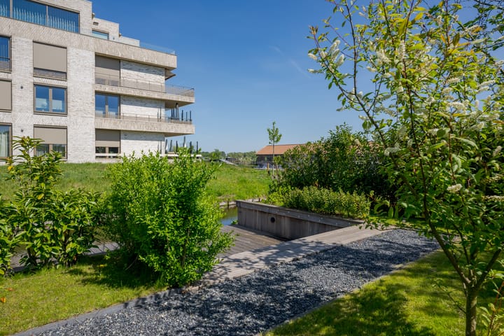 Foto 61 van Het Lint 6