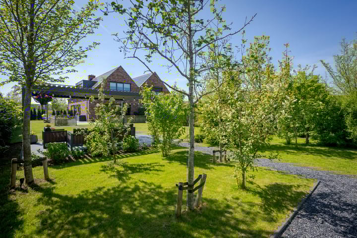 Foto 65 van Het Lint 6