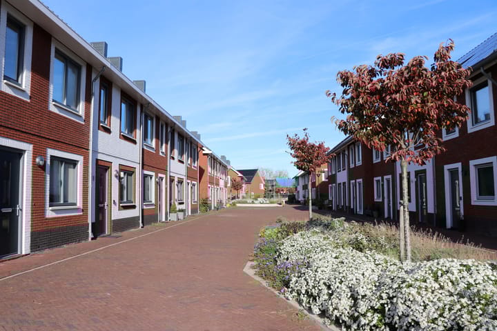 Foto 2 van Mark Huizingapad 19