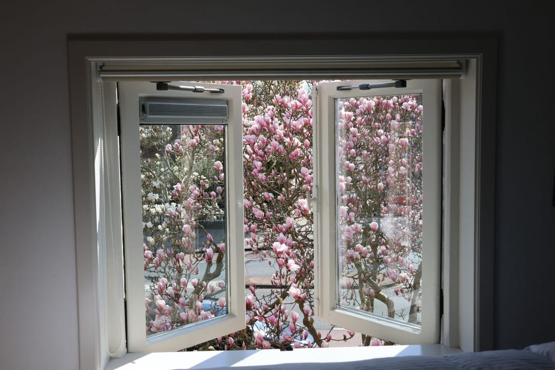 Foto 22 van Herenstraat 119