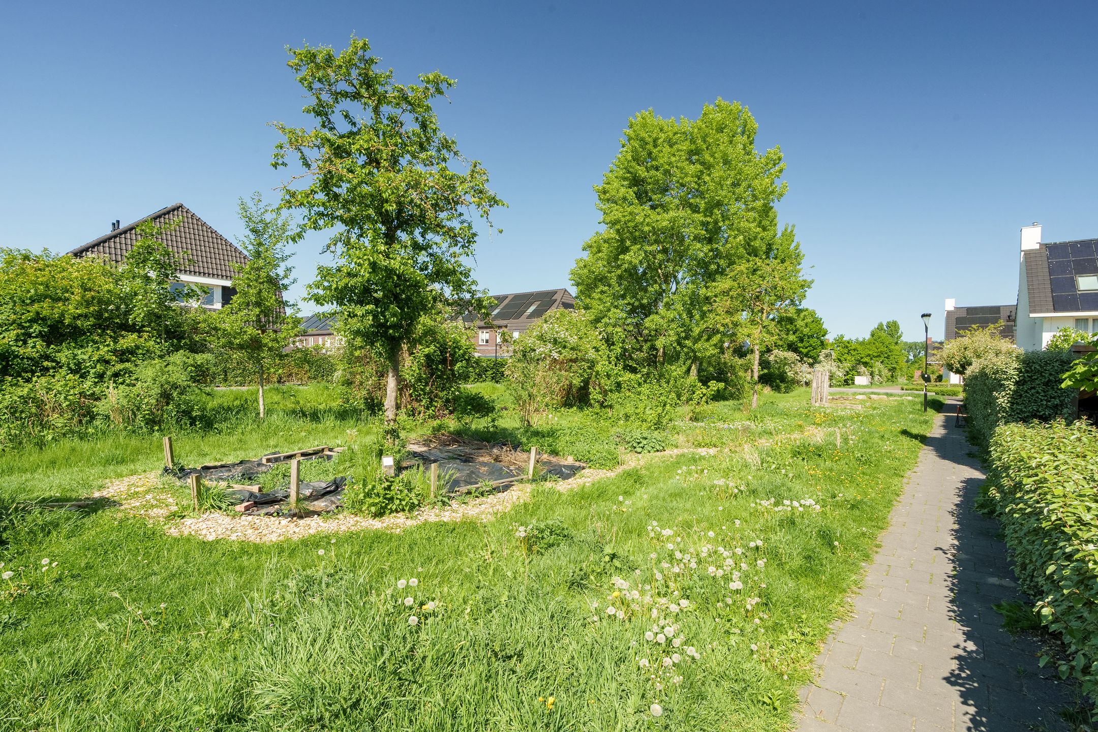 Foto 27 van Evert van der Heijdenstraat 13