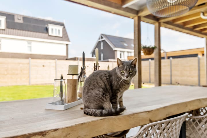 Foto 14 van Rompelenbos 29