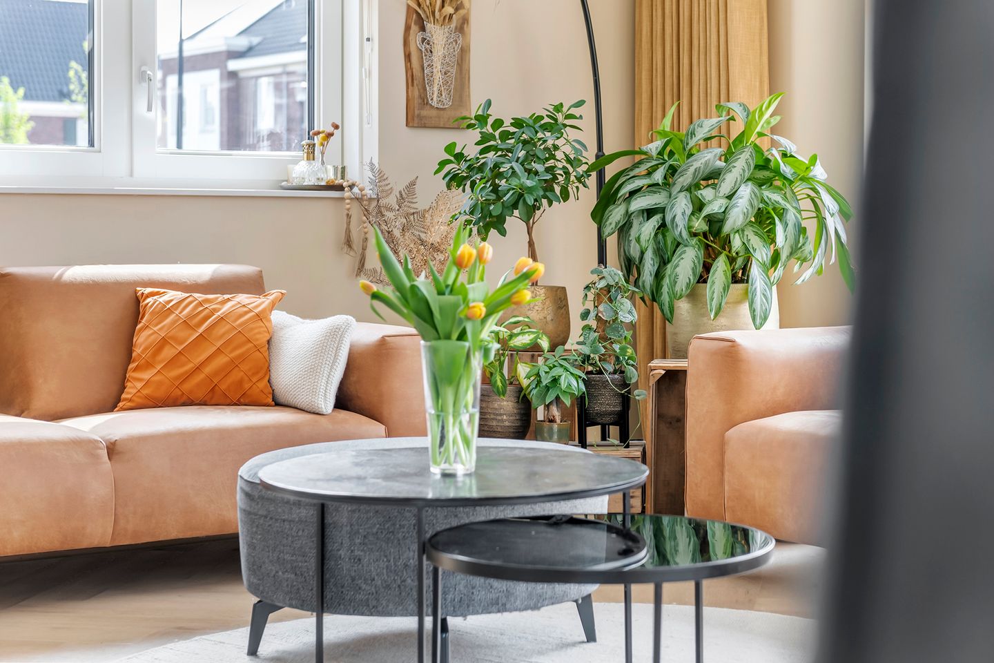 Photo 29 of Rompelenbos 29