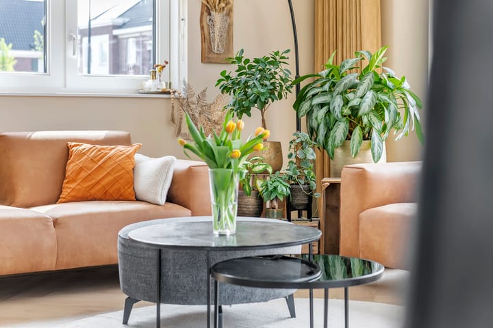 Foto 29 van Rompelenbos 29