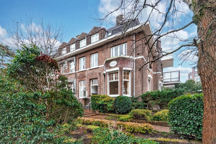 Foto 45 van Eisenhowerlaan 51