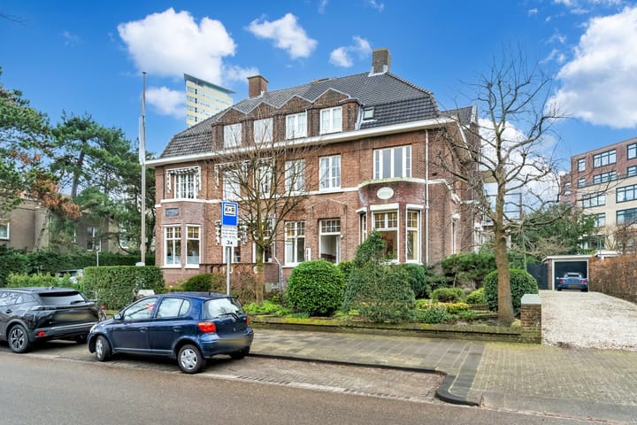 Foto 46 van Eisenhowerlaan 51