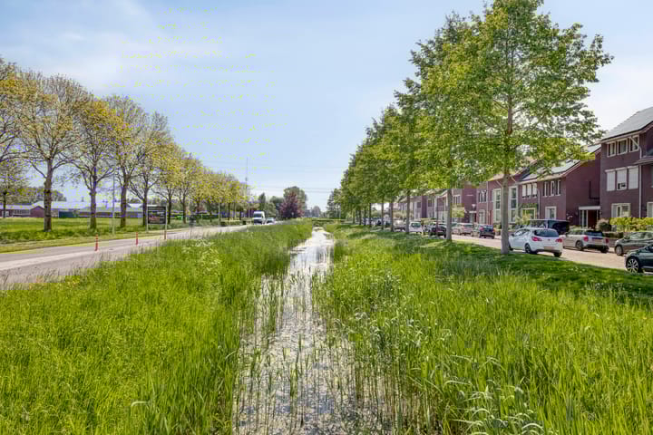 Foto 31 van Valeriaan 43