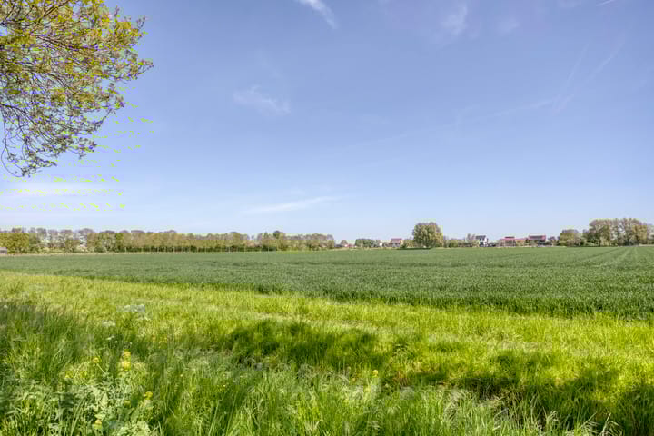 Foto 32 van Valeriaan 43