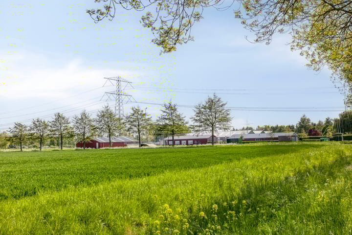 Foto 33 van Valeriaan 43