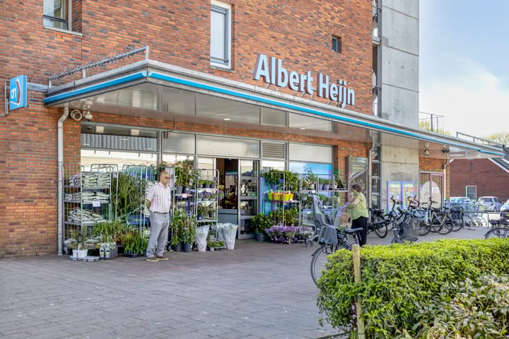 Foto 35 van Valeriaan 43