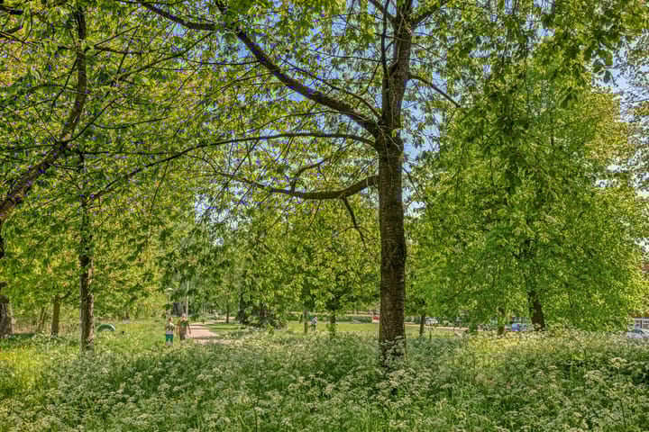 Foto 40 van Nicolaas Ruychaverstraat 82