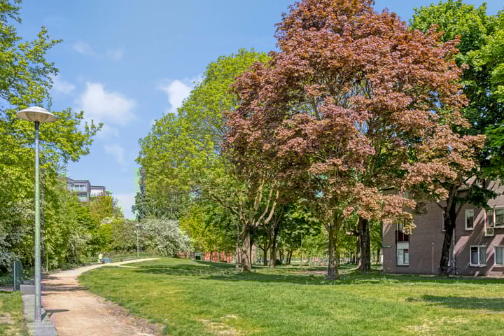 Foto 41 van Nicolaas Ruychaverstraat 82