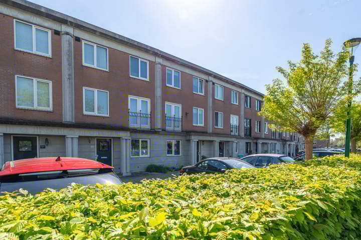 Photo 23 of Pronkmos 23