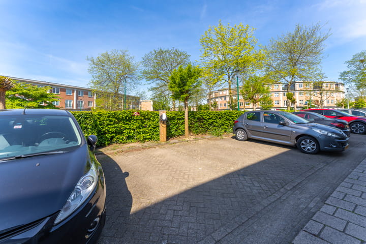 Photo 25 of Pronkmos 23