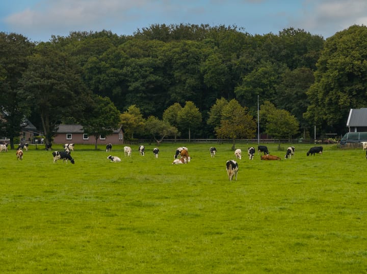 Foto 52 van Noordereinde 9