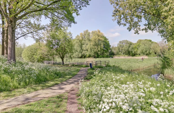 Photo 23 of Vlieland 2