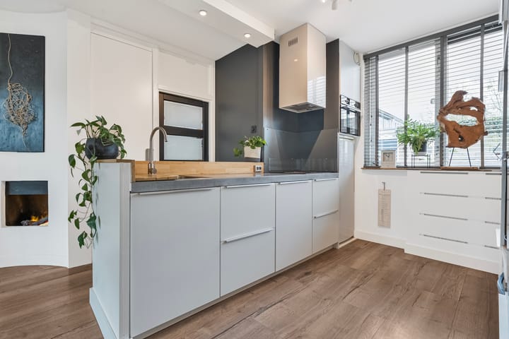 Foto 8 van Theo van Doesburgplantsoen 24