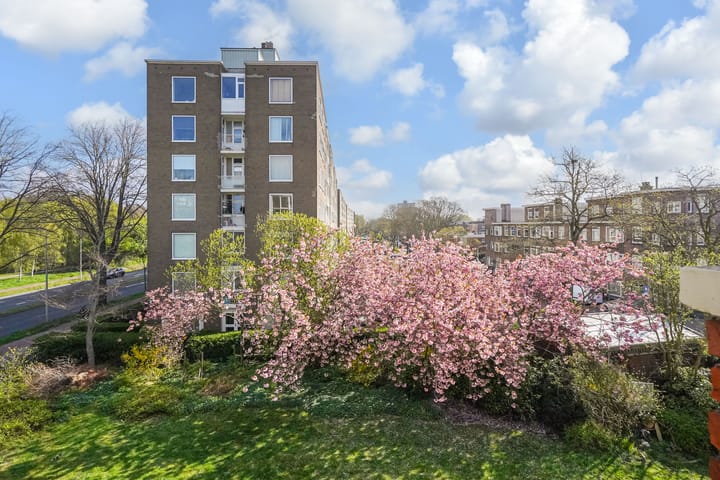 Foto 29 van Fahrenheitstraat 733