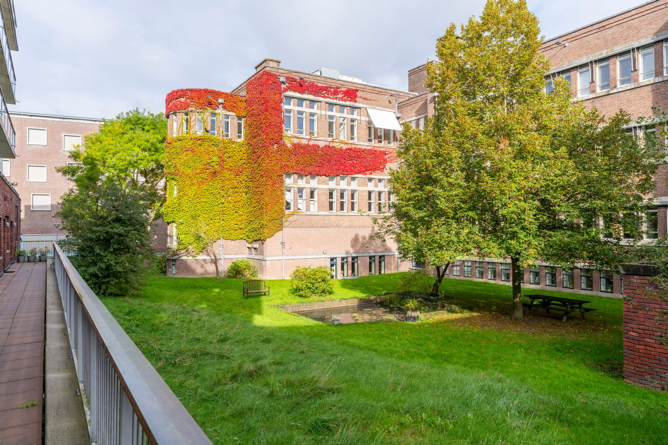 Photo 39 of Reyer Anslostraat 66