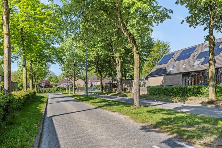 Foto 20 van Dommelborch 56