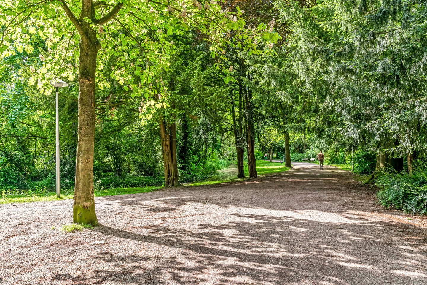 Photo 29 of Sumatrastraat 27