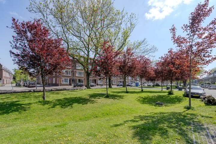 Foto 34 van De Quackstraat 26-A