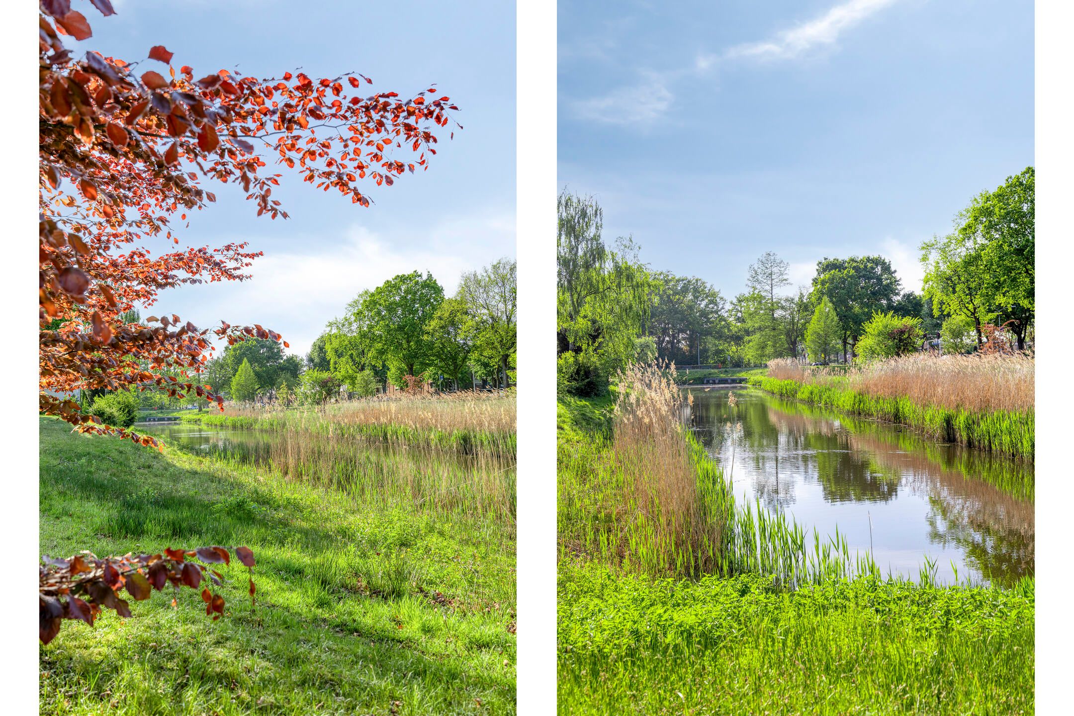 Foto 33 van Doctor Mollerlaan 57