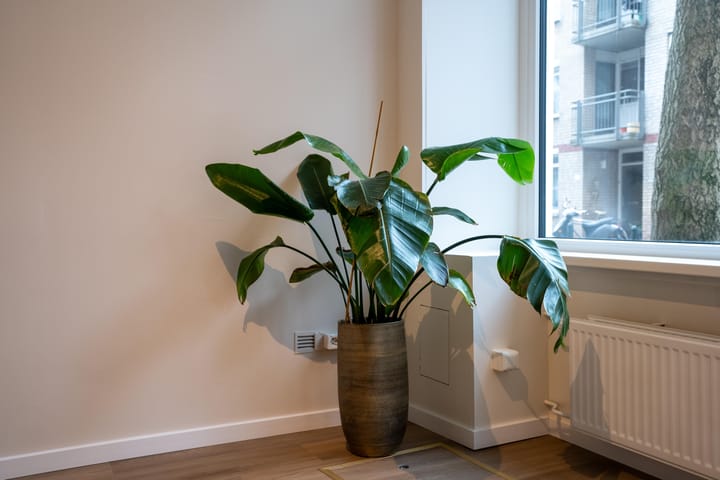 Foto 14 van Witte de Withstraat 20