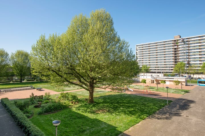 Foto 13 van Loplein 39