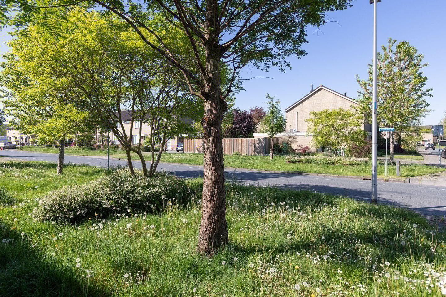 Foto 40 van Kievitstraat 59