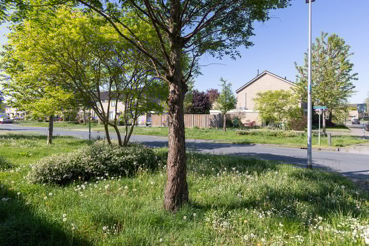 Foto 40 van Kievitstraat 59