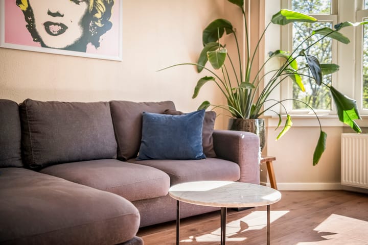 Foto 4 van Orteliuskade 25-3