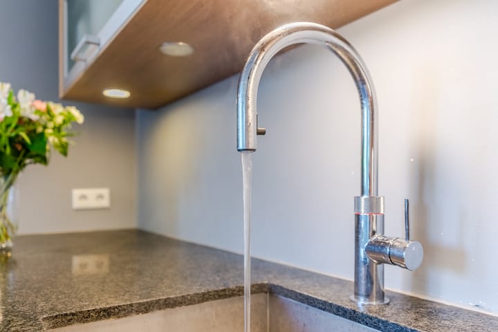 Photo 15 of Graslelie 60